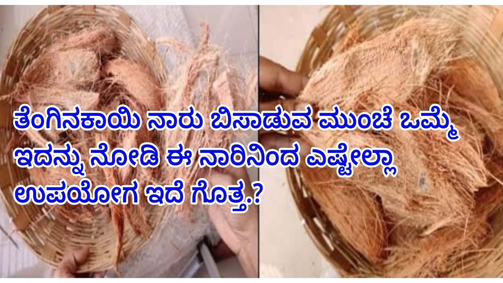 ತೆಂಗಿನಕಾಯಿಯನ್ನು ಸುಲಿದ ಬಳಿಕ ಅದರ ನಾರನ್ನು ಬಿಸಾಕುತ್ತಿರ.? ಆಗಾದ್ರೆ ತಪ್ಪದೇ ಈ ವಿಡಿಯೋ ನೋಡಿ.