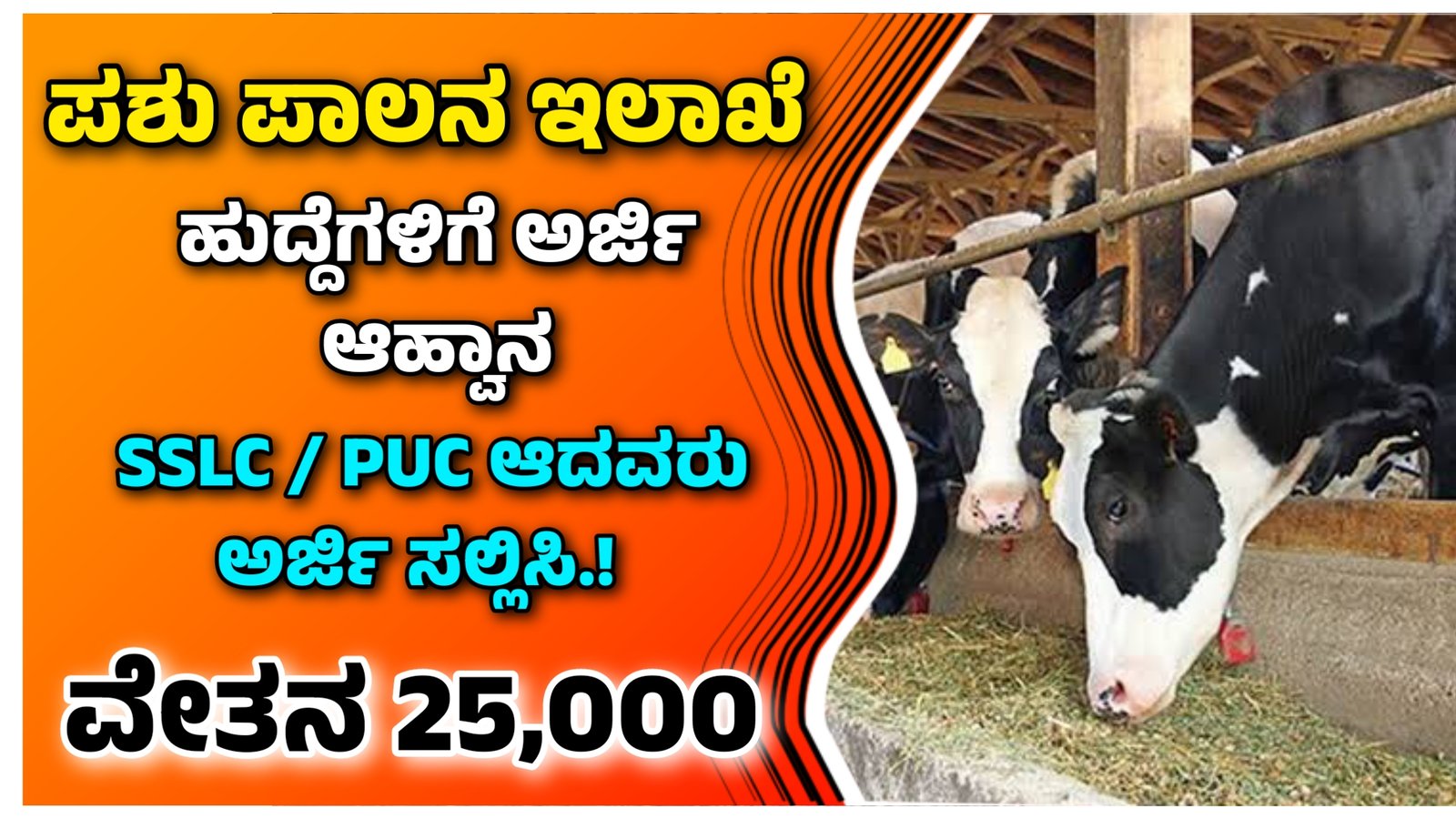 ಪಶುಪಾಲನಾ ಇಲಾಖೆಯಲ್ಲಿ 1,100ಕ್ಕೂ ಹೆಚ್ಚು ಹುದ್ದೆಗಳಿಗೆ ಅವಕಾಶ, SSLC / PUC ಆದವರು ಅರ್ಜಿ ಸಲ್ಲಿಸಿ.! ವೇತನ 25,000