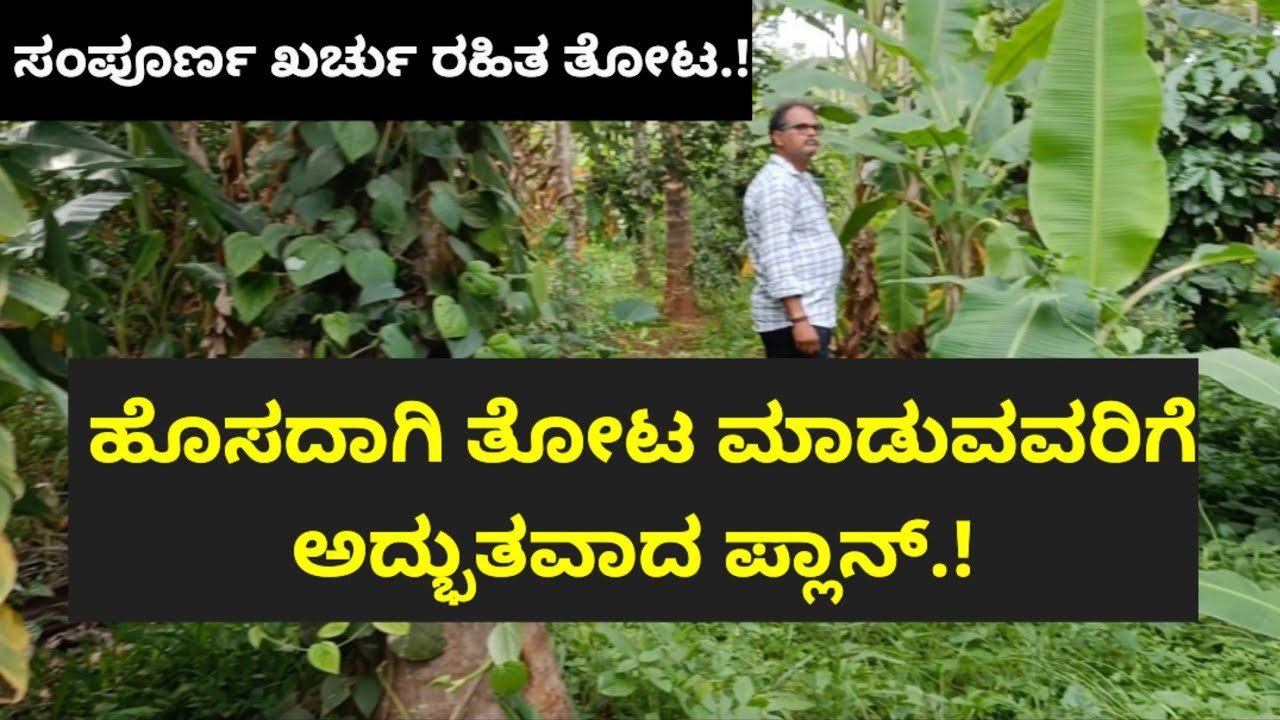 ಹೊಸದಾಗಿ ತೋಟ ಮಾಡುವವರಿಗೆ ಅದ್ಭುತವಾದ ಪ್ಲಾನ್.! ಈ ತೋಟಕ್ಕೆ ಒಂದು ರೂಪಾಯಿನೂ ಖರ್ಚು ಮಾಡಲ್ಲ.!