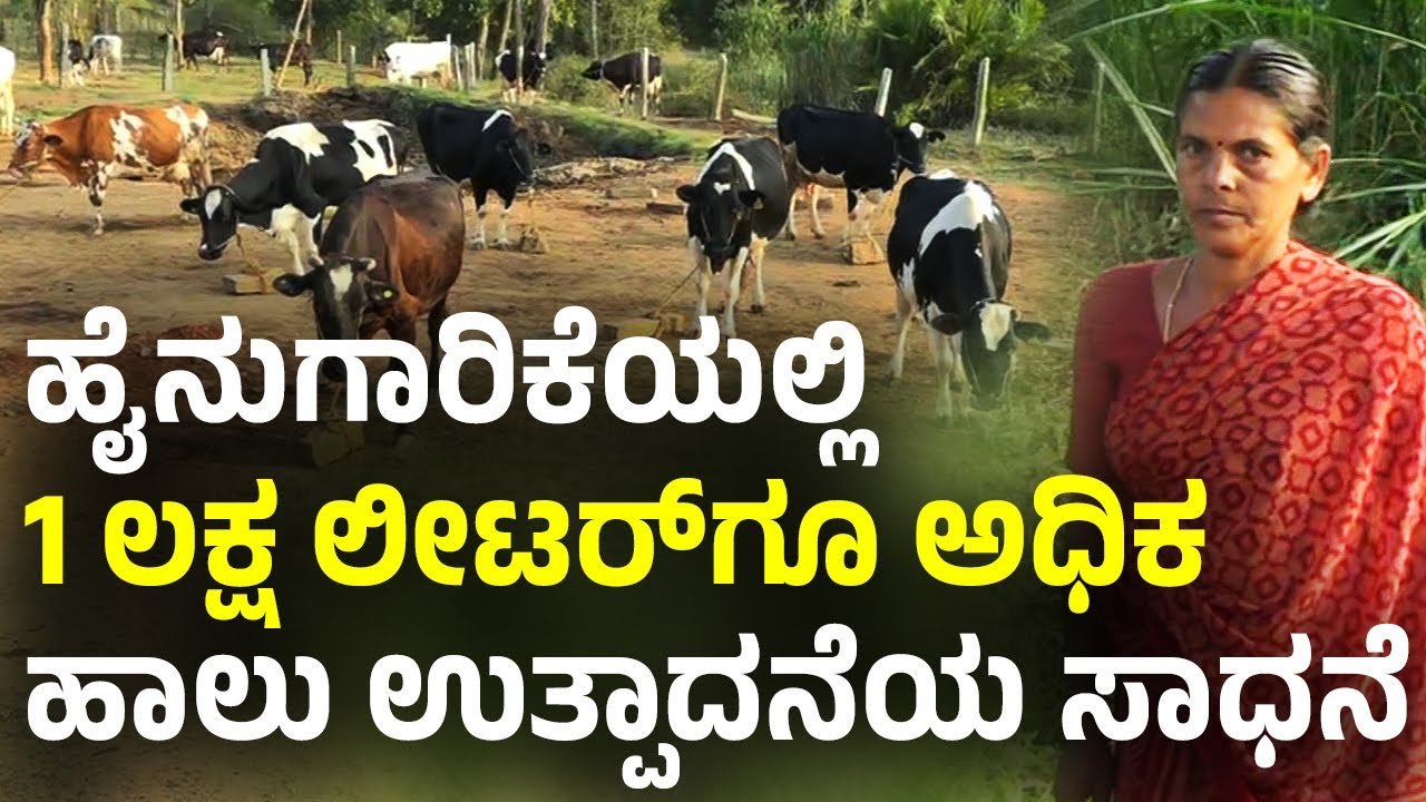 Mandya mangalamma milk producer